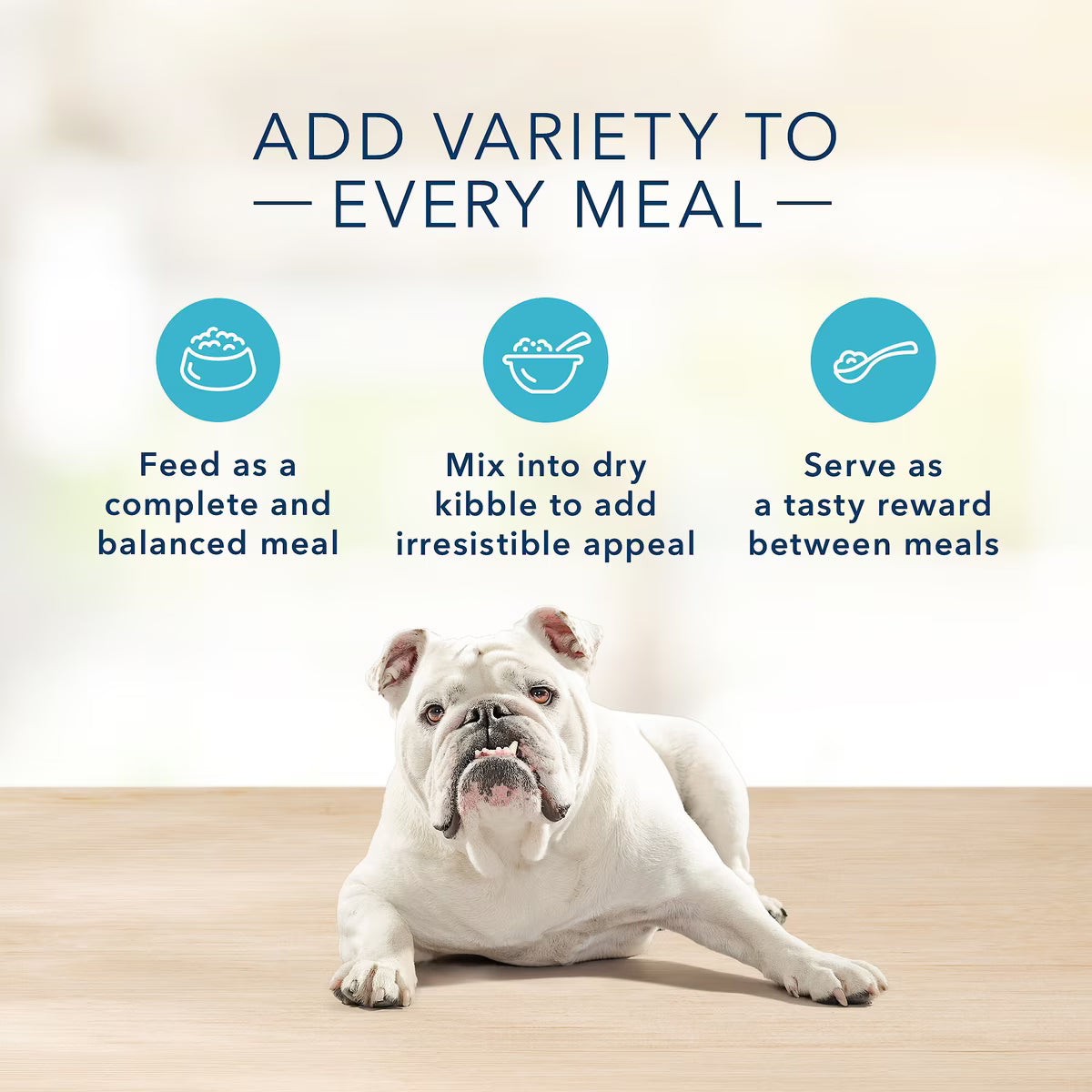 Blue Buffalo Basics Skin & Stomach Care Grain-Free Turkey & Potato Canned Dog Food 12.5oz