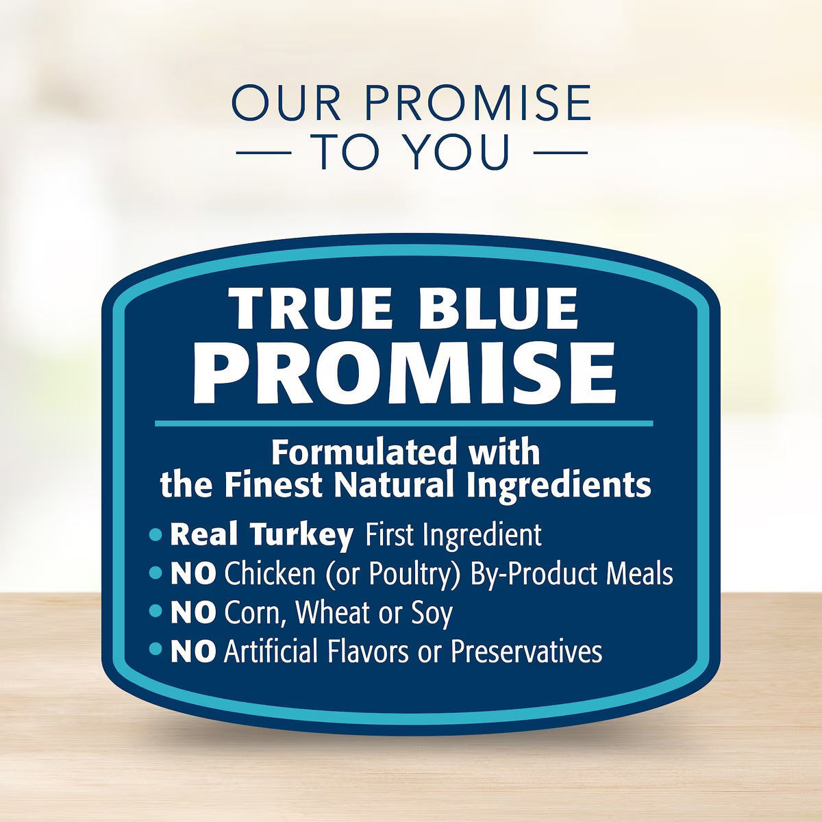Blue Buffalo Basics Skin & Stomach Care Grain-Free Turkey & Potato Canned Dog Food 12.5oz