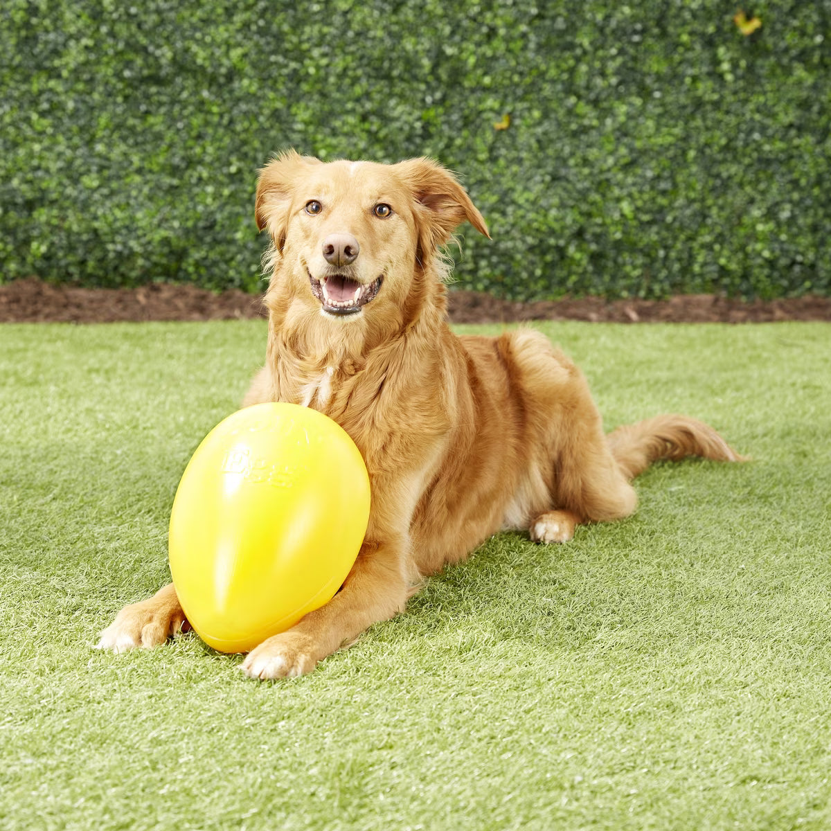 JOLLY EGG YELLOW 12"