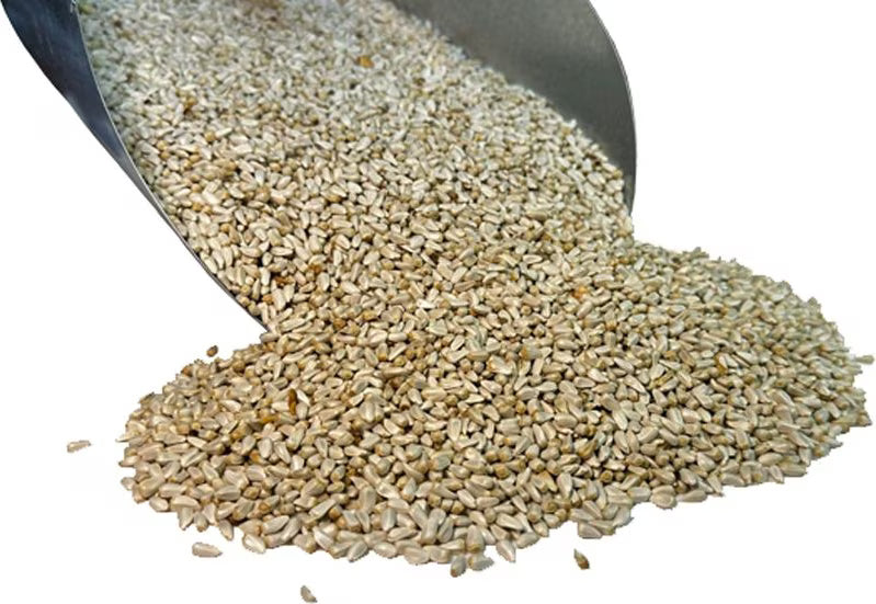 Bar-ALE Whole Safflower Seed 8lb