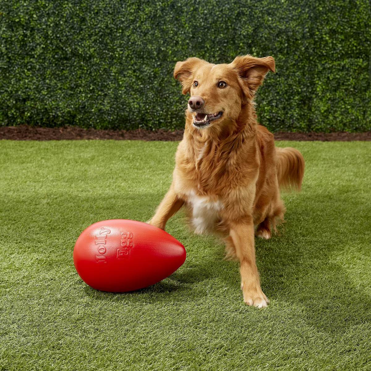 Jolly Pets Jolly Egg Dog Toy Red 12inch
