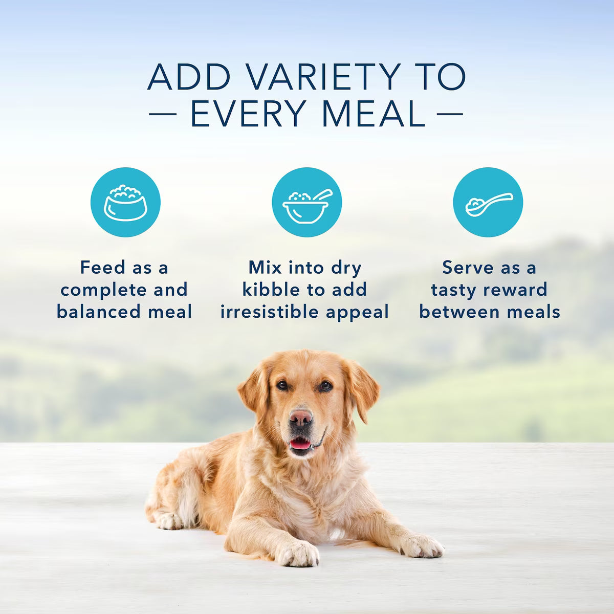 Blue Buffalo Homestyle Recipe Turkey Meatloaf Dinner with Garden Vegetables Canned Dog Food 12.5oz