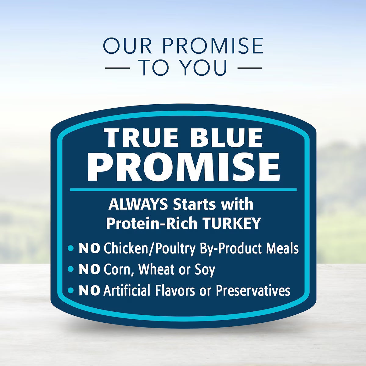 Blue Buffalo Homestyle Recipe Turkey Meatloaf Dinner with Garden Vegetables Canned Dog Food 12.5oz
