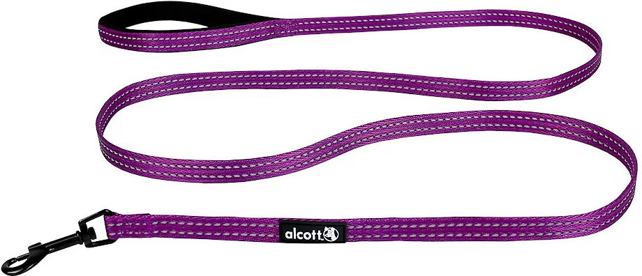 Alcott Adventure Reflective Leash Small Purple