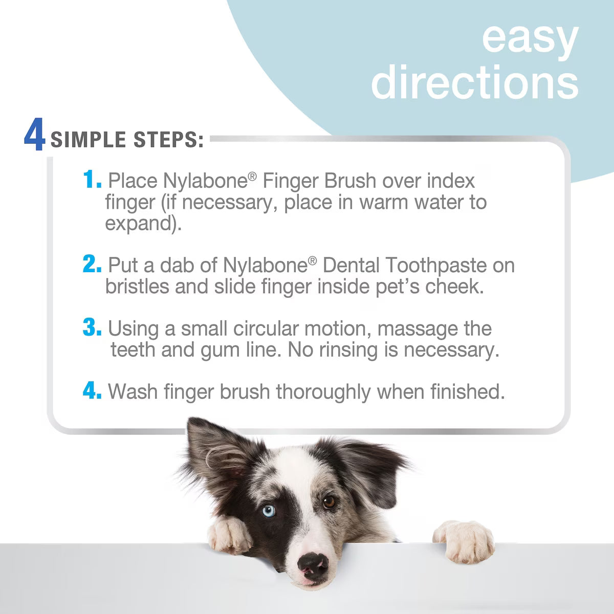 Nylabone Advanced Oral Care Finger Dog Brush 2 count