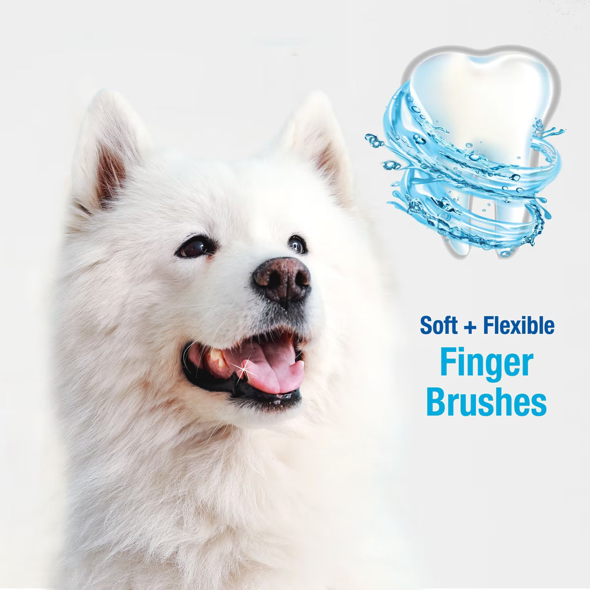 Nylabone Advanced Oral Care Finger Dog Brush 2 count