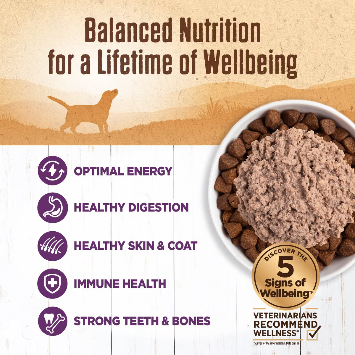 Wellness 95% Chicken Grain-Free Natural Canned Dog Food 13.2oz
