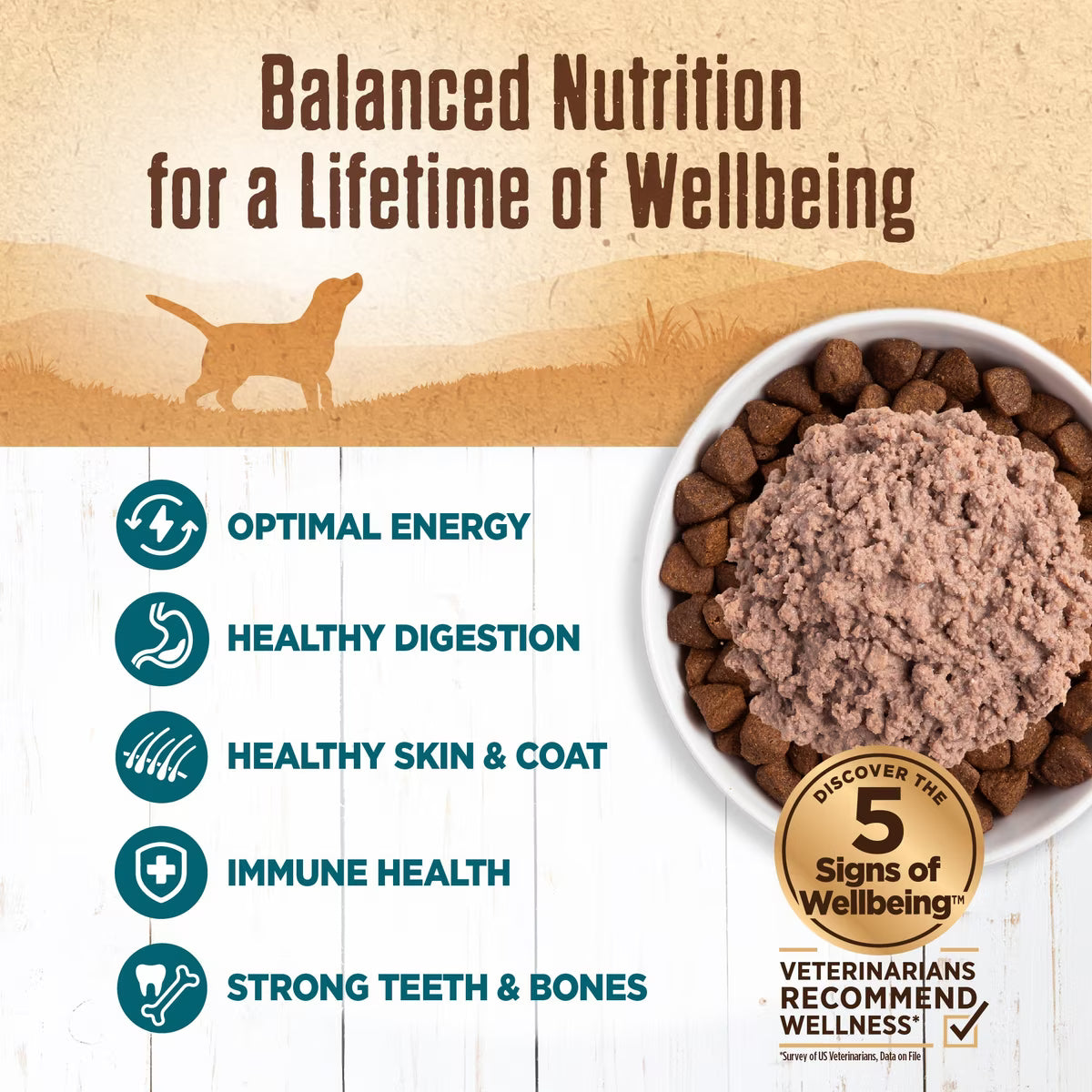 Wellness 95% Whitefish Natural Grain-Free 13.2 oz