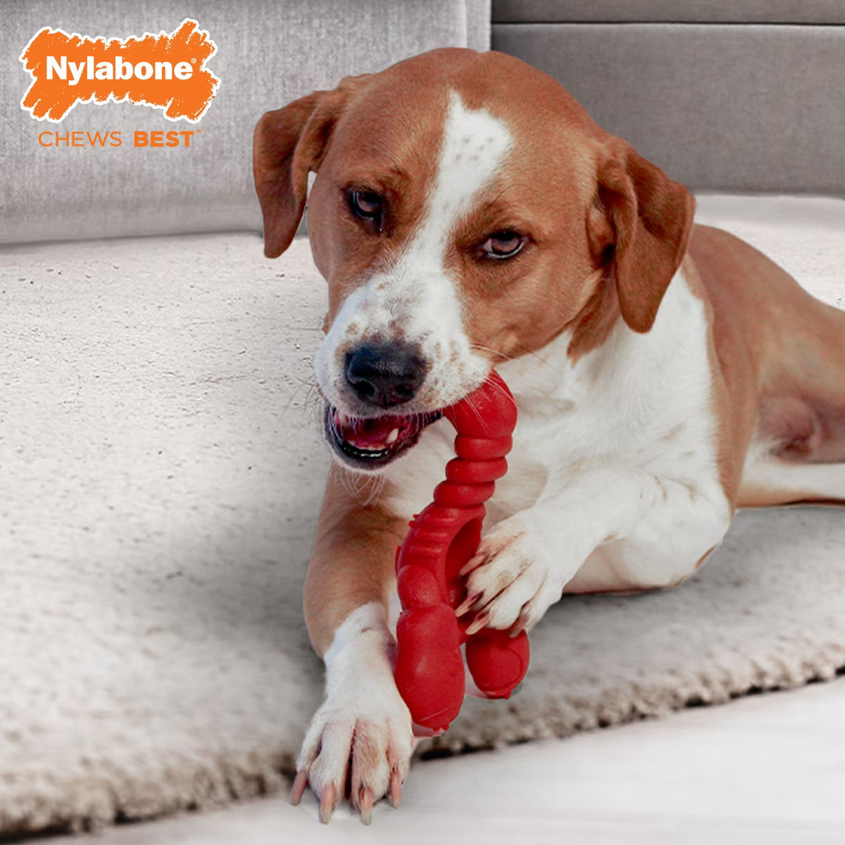 Nylabone Lobster Power Dog Chew XL