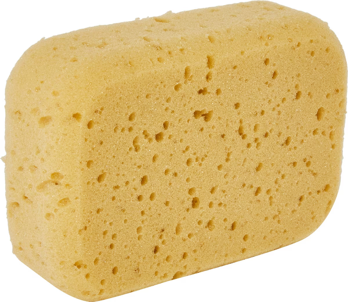 SPONGE HADERA BODY RECT