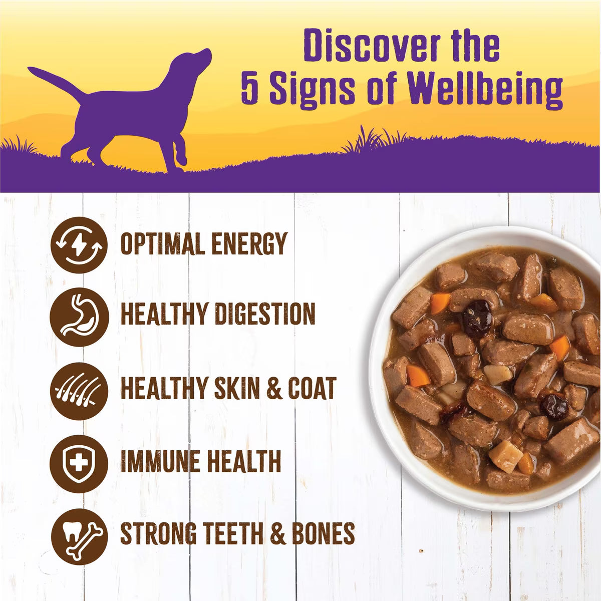 Wellness Turkey & Duck Stew Canned Dog Food 12.5oz