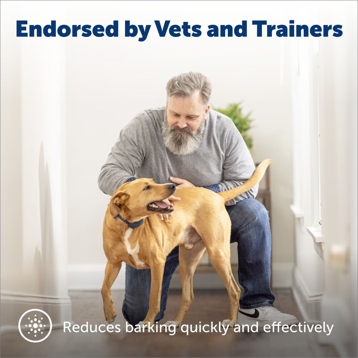 PetSafe Lite Rechargeable Bark Collar