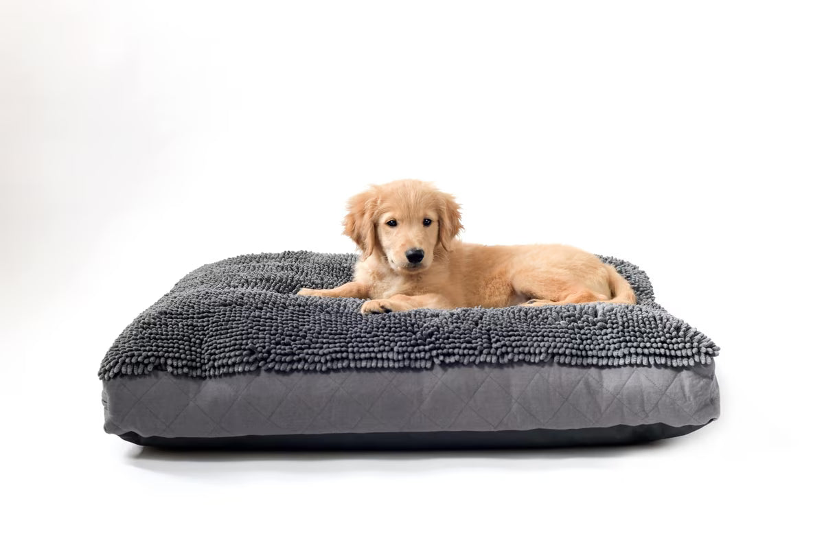 Dog Gone Smart Dirty Dog Rectangle Dog & Cat Bed with Removable Cover Grey 36x48