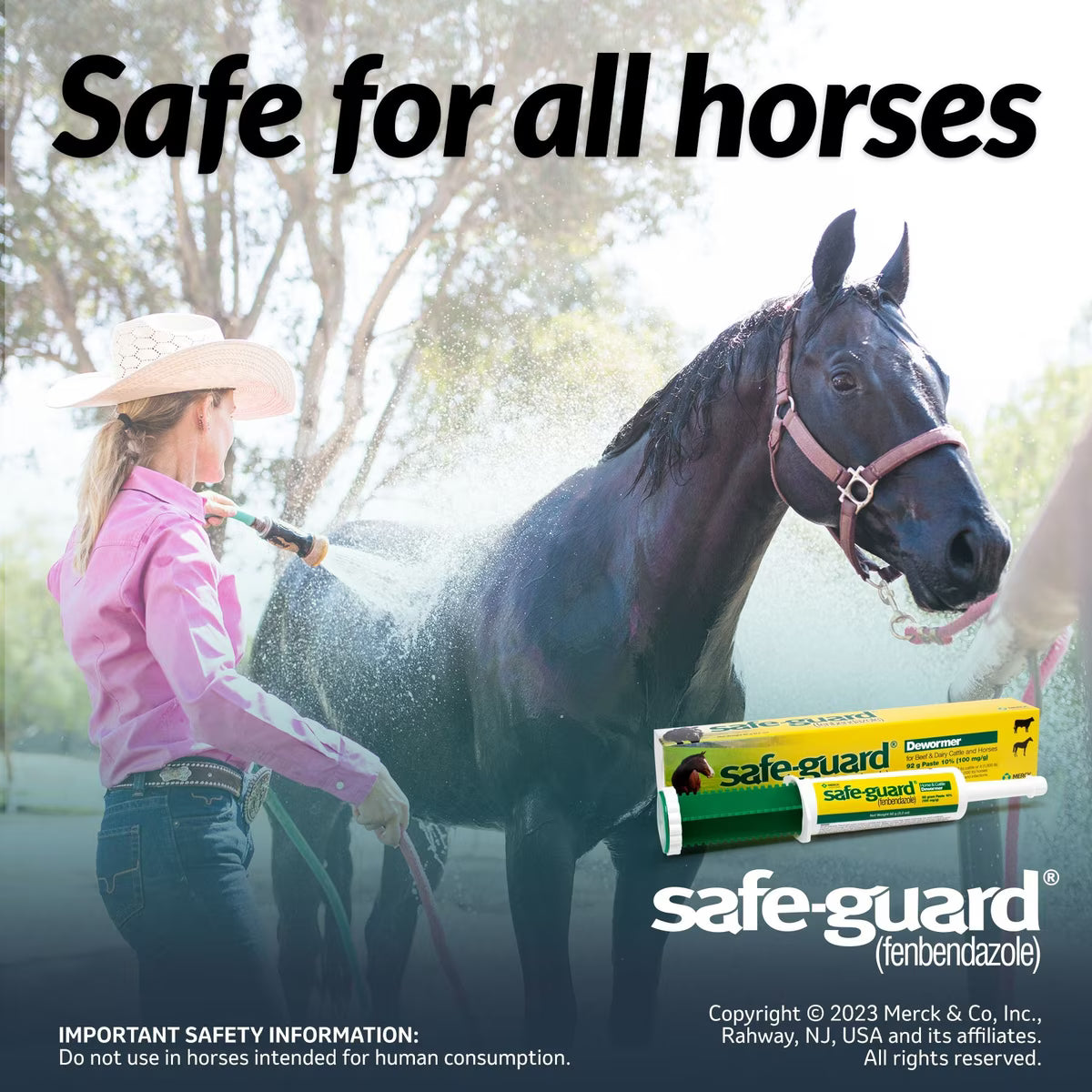 Safe-Guard Fenbendazole 10% Dewormer Paste for Horses 92-gm