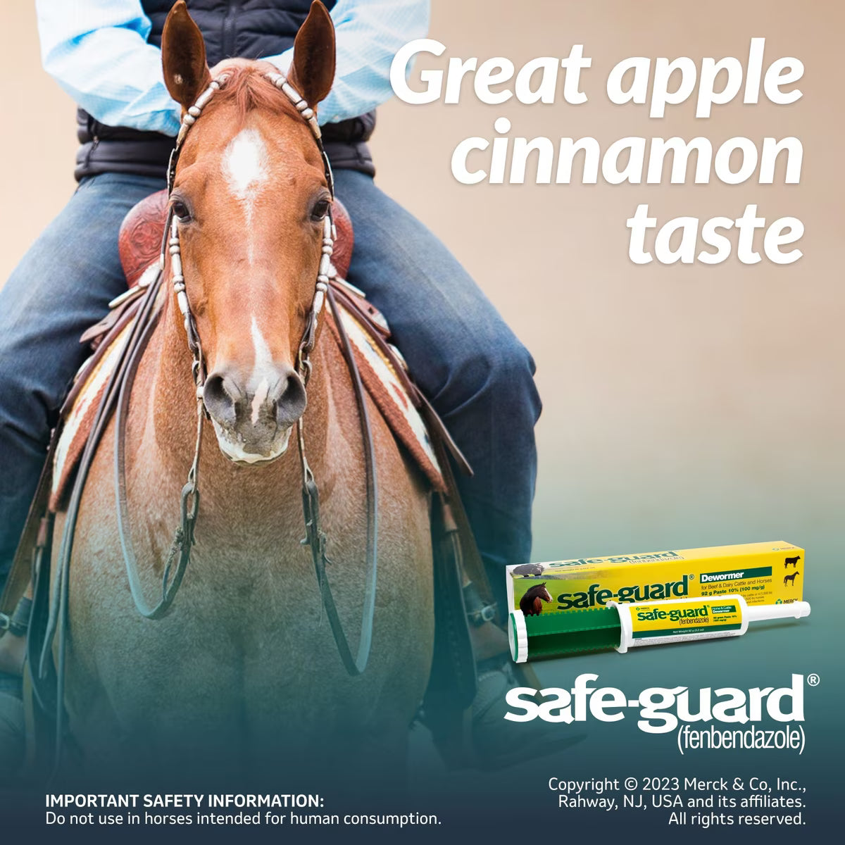 Safe-Guard Fenbendazole 10% Dewormer Paste for Horses 92-gm