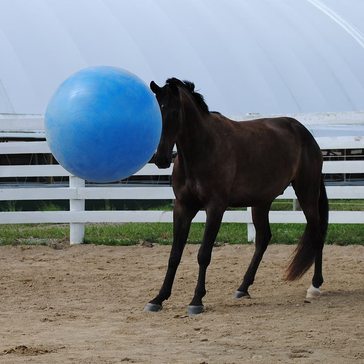 EQUINE JOLLY MEGA BALL 30" 430