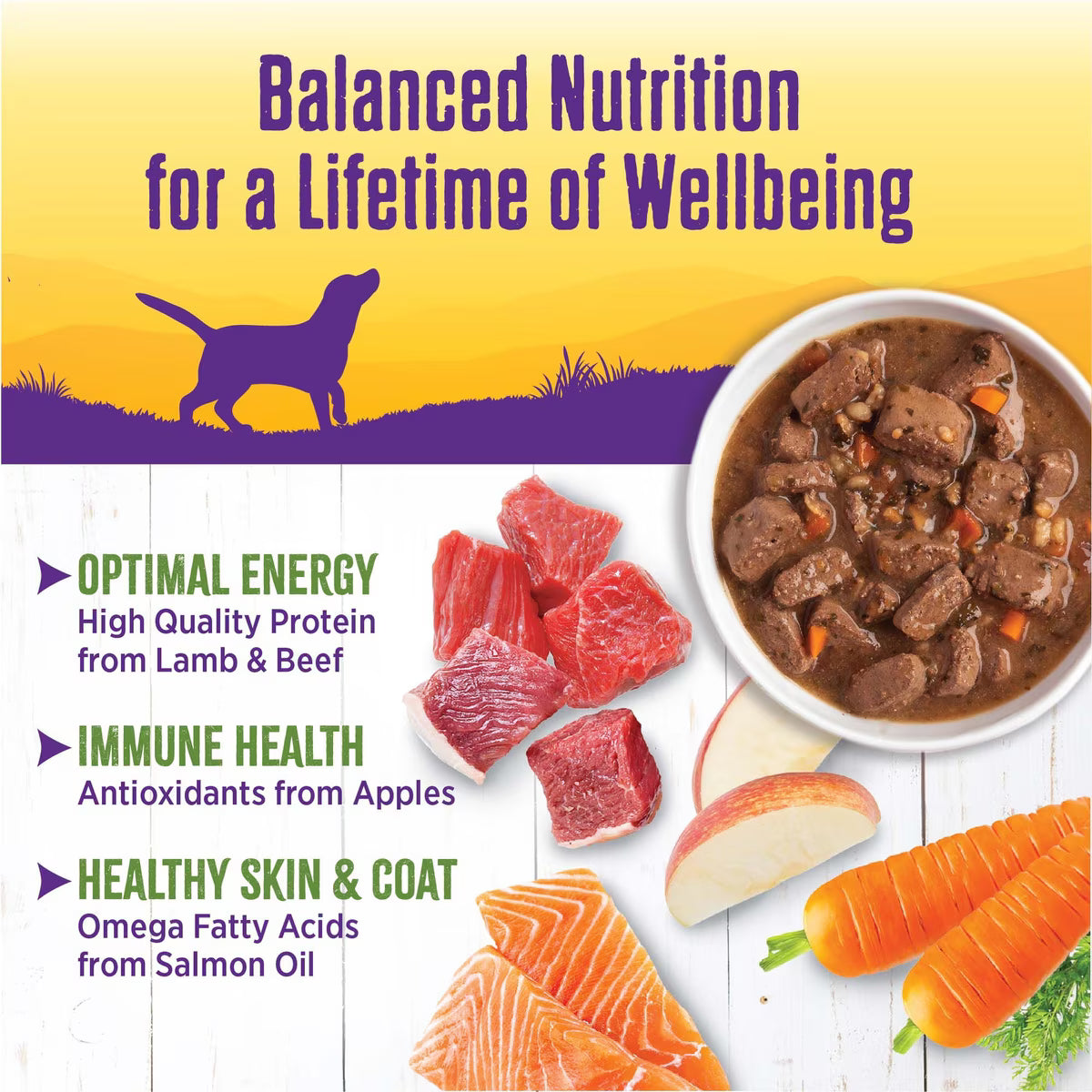 Wellness Lamb & Beef Stew Canned Dog Food 12.5oz