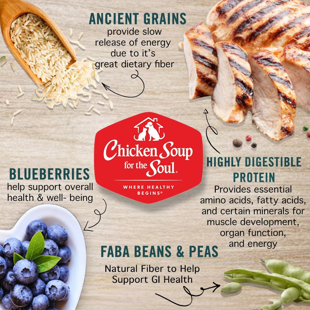 Chicken Soup for the Soul Adult Chicken, Turkey, & Brown Rice Recipe Dry Dog Food  4.5lb
