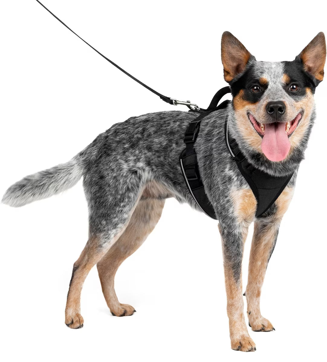 PetSafe EasySport Dog Harness Black Medium