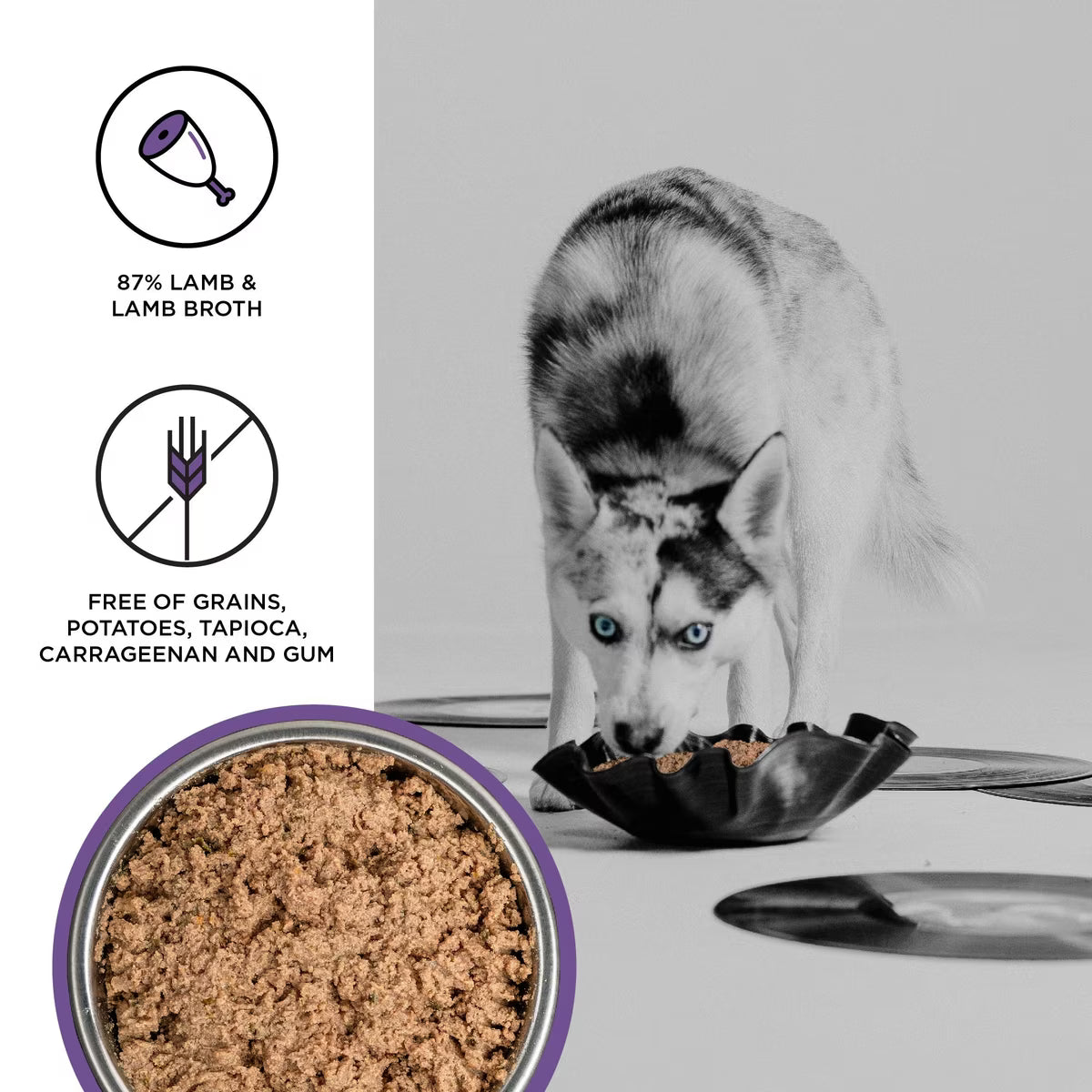 BIXBI Liberty Limited Ingredient Lamb Recipe Canned Dog Food 12.5oz
