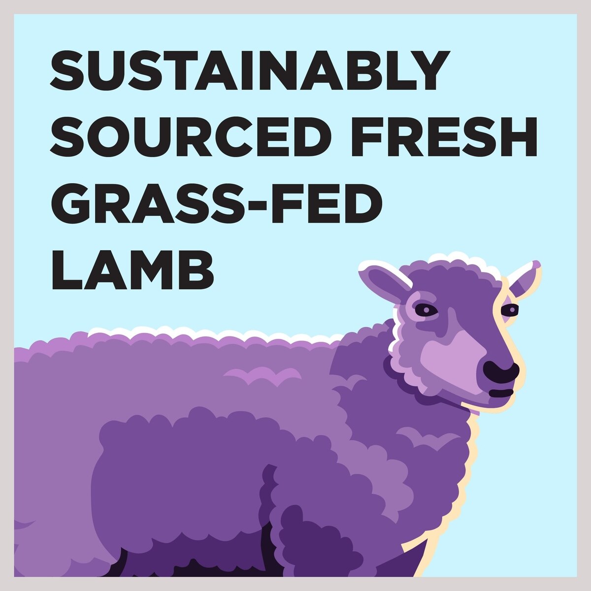 BIXBI Liberty Limited Ingredient Lamb Recipe Canned Dog Food 12.5oz