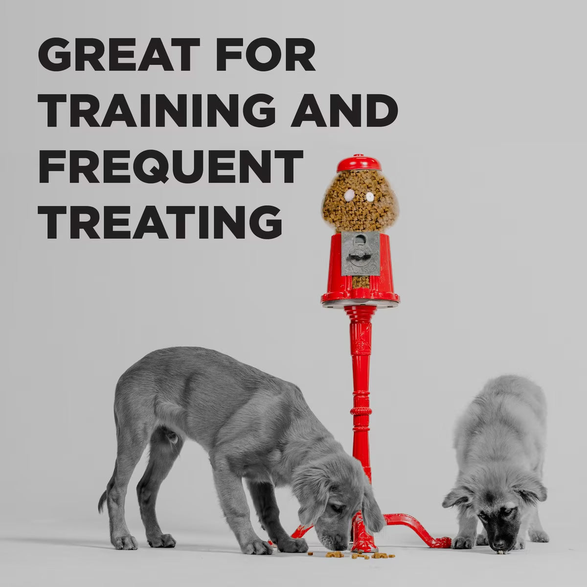Bixbi Grain-Free Peanut Butter Flavored Pocket Trainers for Dogs 6oz