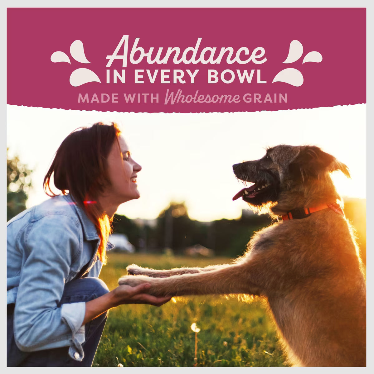 Natural Balance Fat Dogs Chicken & Salmon Weight Management Formula Dry Dog Food 4lb