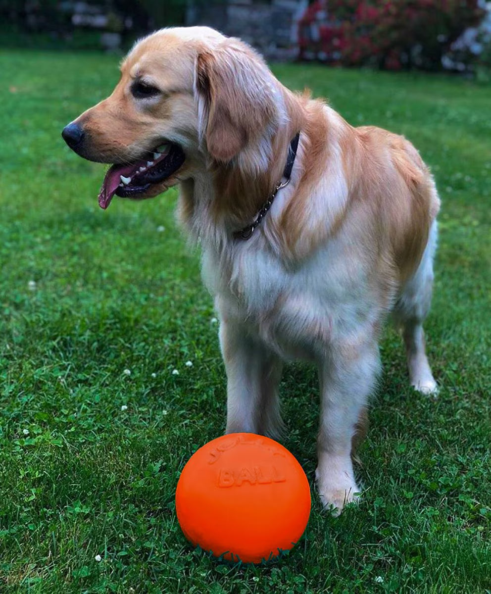 Jolly Pets Bounce-n-Play Dog Toy Orange 8in