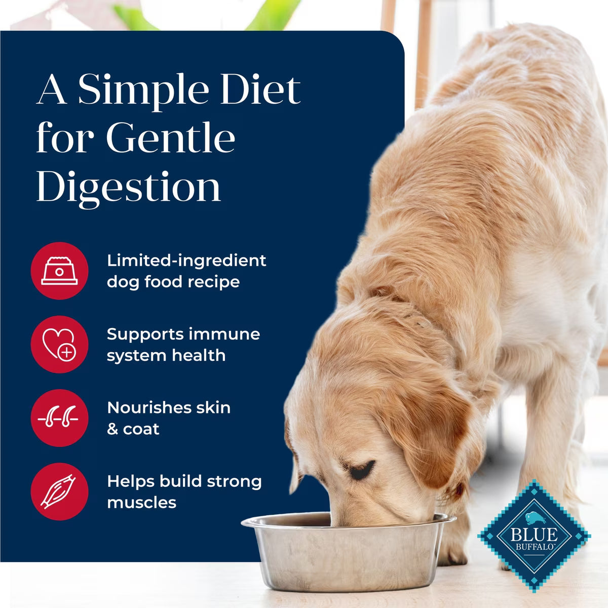 Blue Buffalo Basics Grain-Free Salmon & Potato Recipe Adult Dry Dog Food 24lb