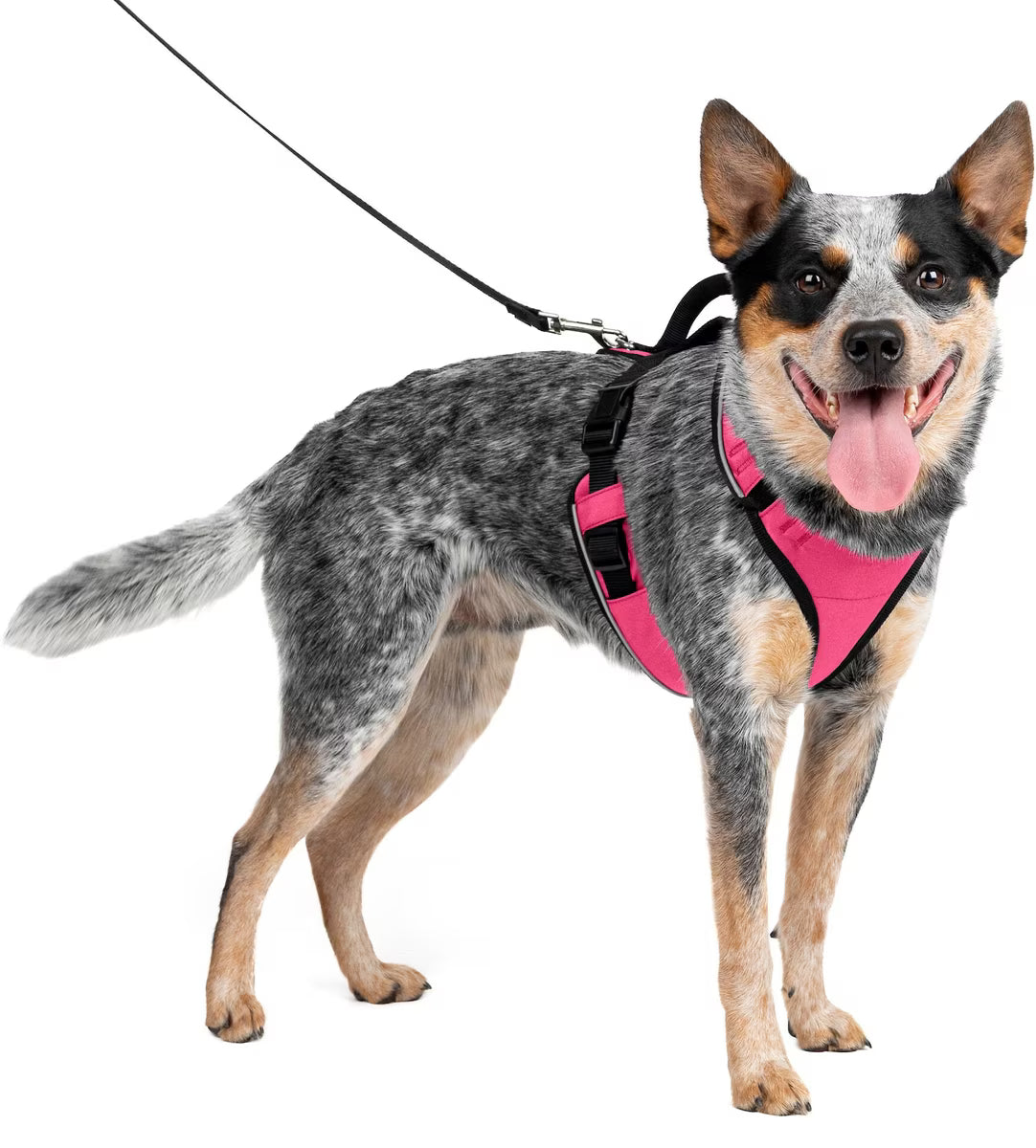 PetSafe EasySport Dog Harness Pink Medium