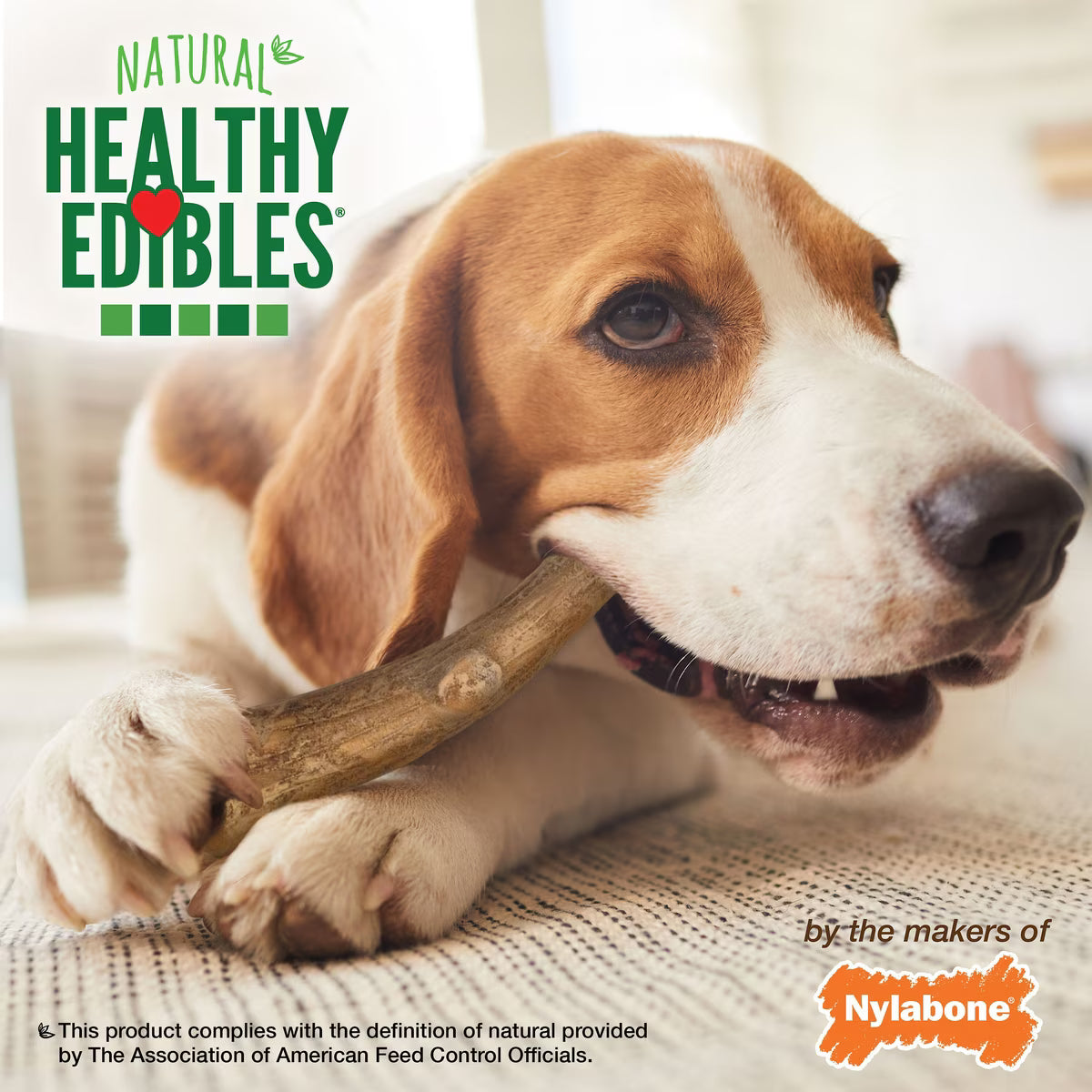 NYL EDIBLE ANTLERS VENSN MD 10