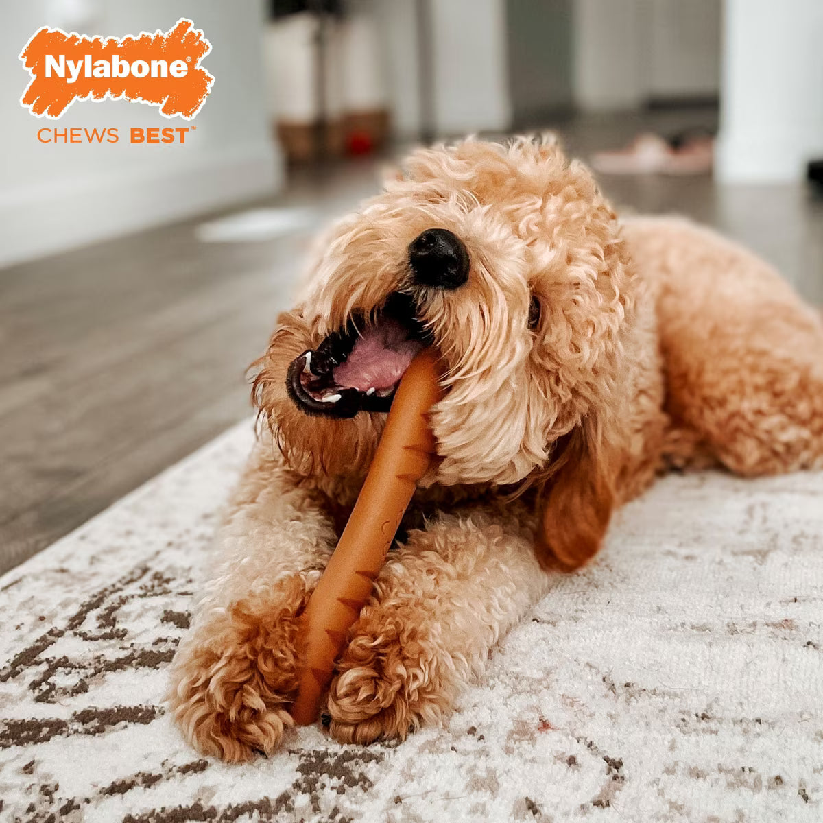 Nylabone Baguette Power Dog Chew Chicken Flavor Large