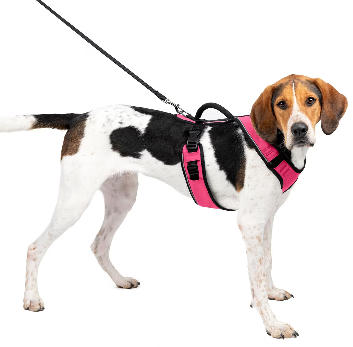 PetSafe EasySport Dog Harness Pink Large