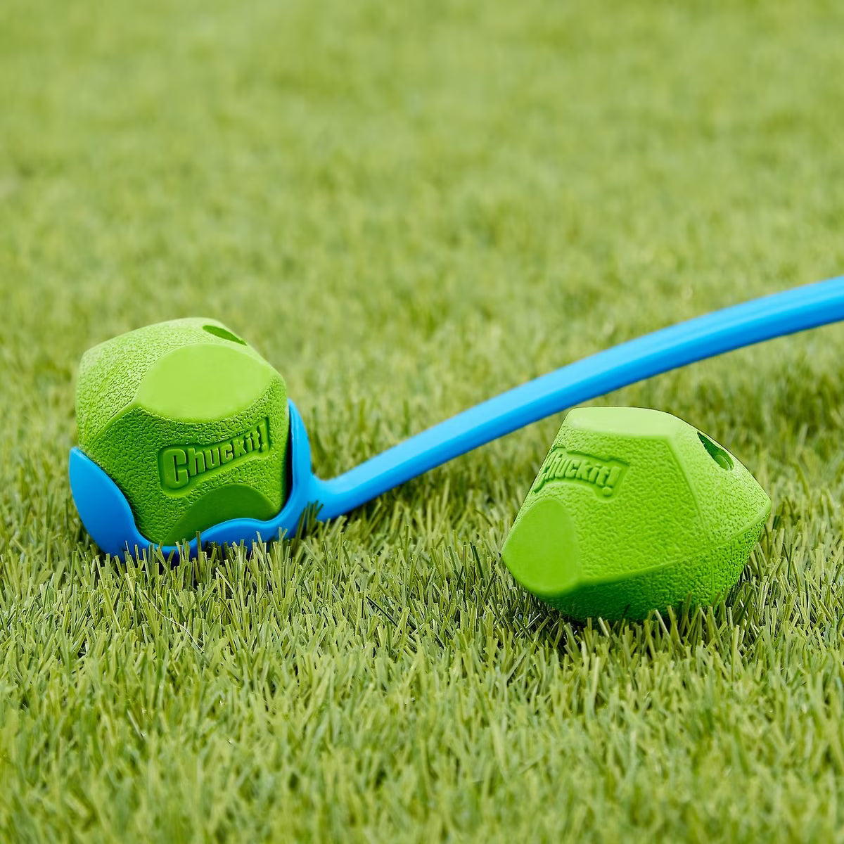 Chuckit! Erratic Ball Dog Toy Medium 2pk