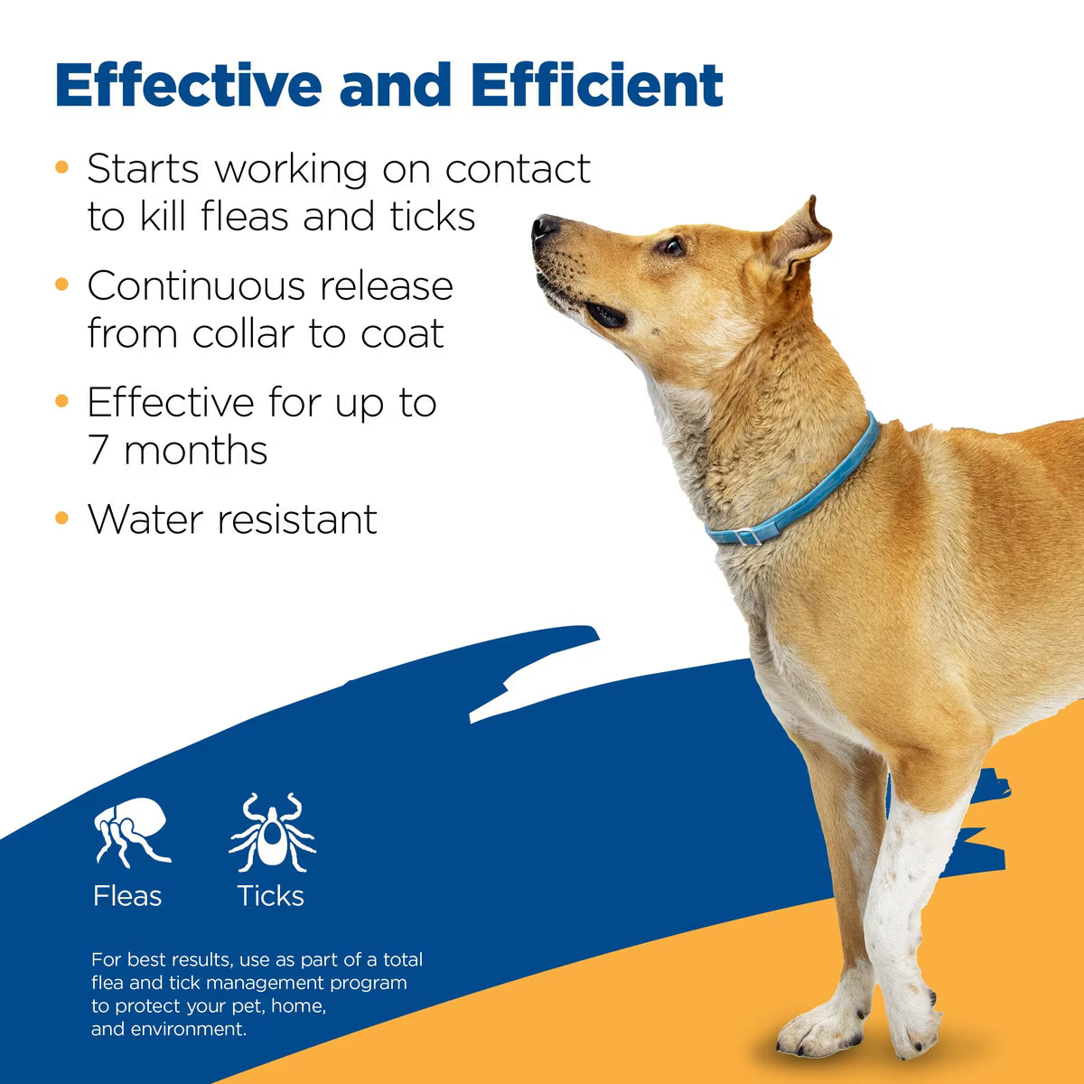 Zodiac Flea & Tick Collar for Medium/Large & Giant Breed Dogs 1ct 7 Month Supply
