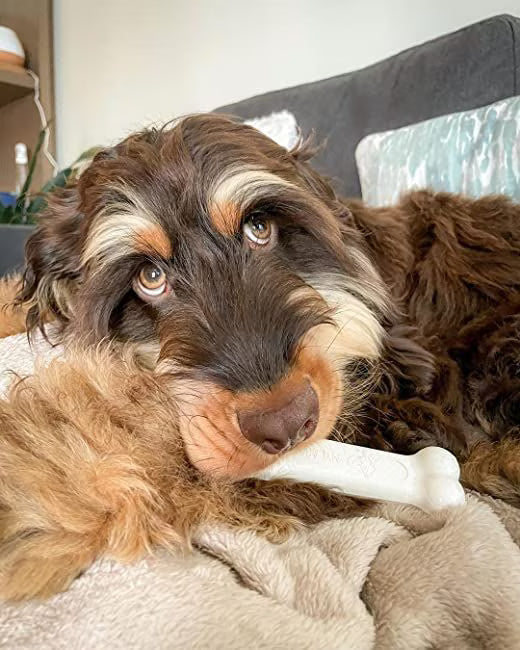 Nylabone Power Dog Chew Chicken Flavored Giant