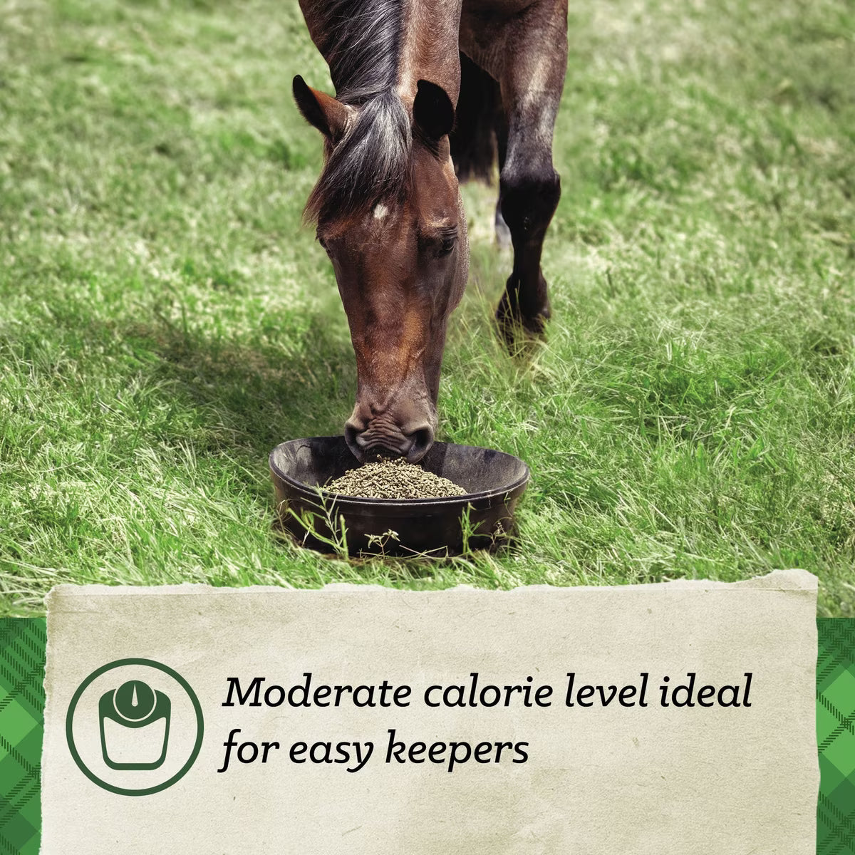 Nutrena SafeChoice Maintenance Horse Feed  50lb