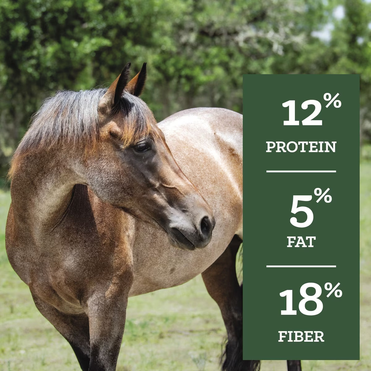 Nutrena SafeChoice Maintenance Horse Feed  50lb