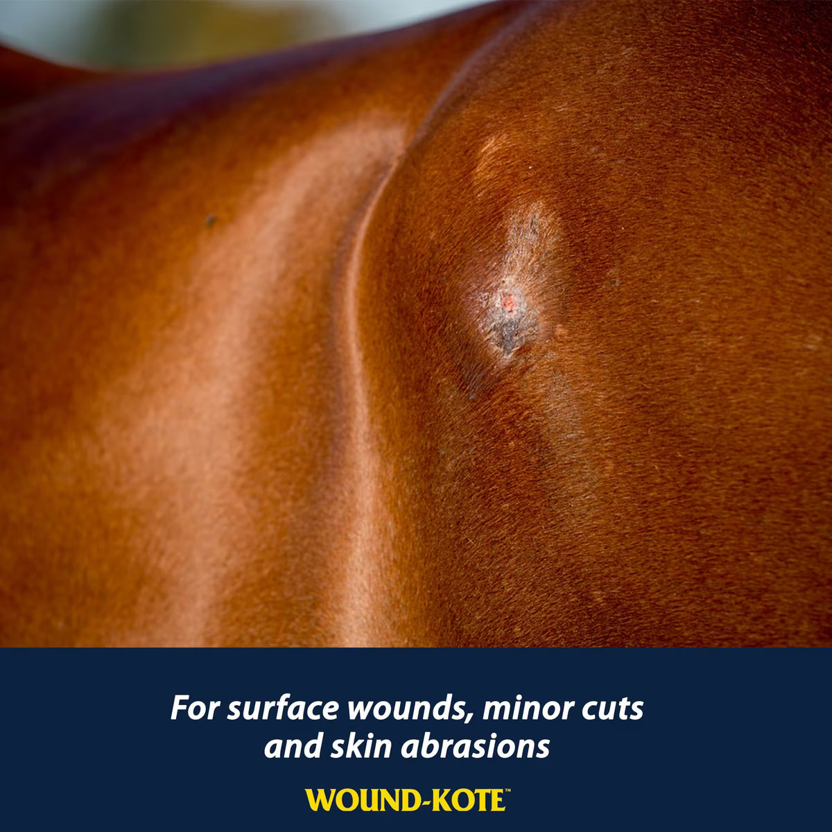 Farnam Wound-Kote Blue Dressing Lotion Spray for Horses, Livestock & Dogs 7oz