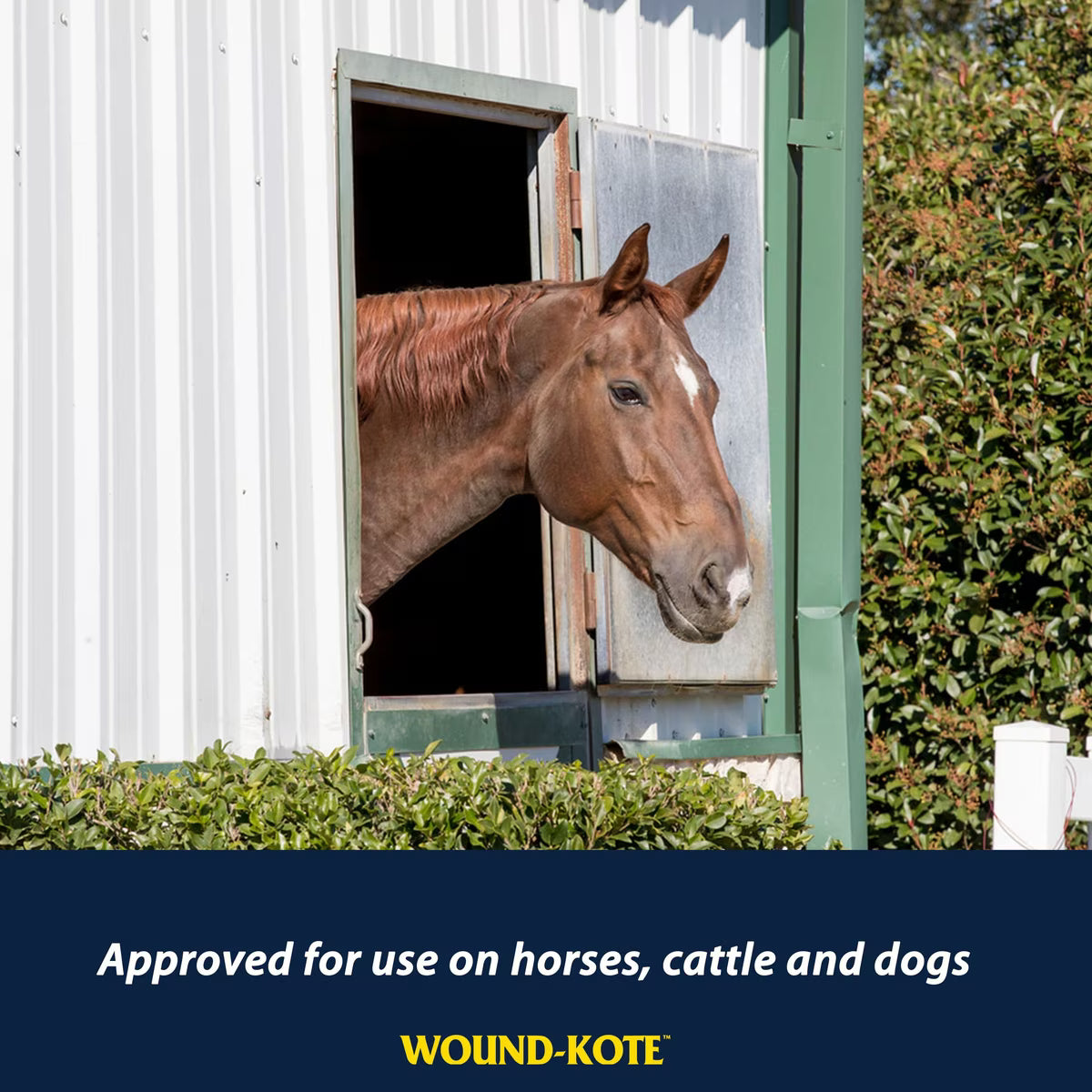 Farnam Wound-Kote Blue Dressing Lotion Spray for Horses, Livestock & Dogs 7oz