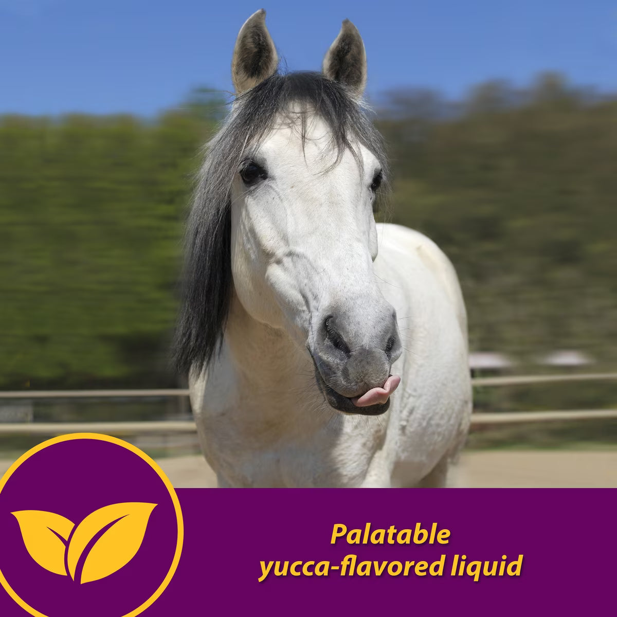 Horse Health Products Red Cell Vitamins & Minerals Liquid Horse Supplement 1gal