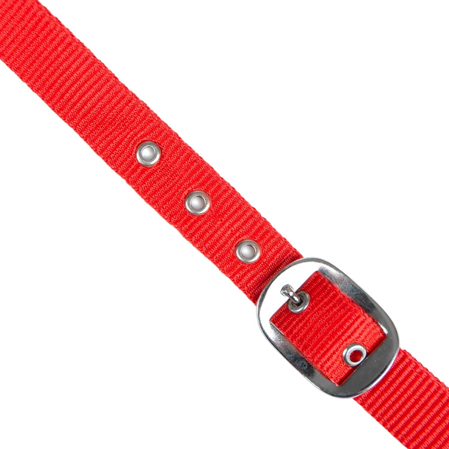 Adjustable Nylon Full Size Horse Halter