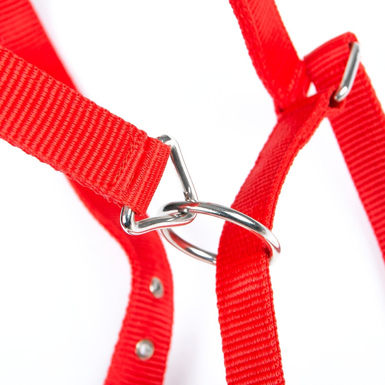 Adjustable Nylon Full Size Horse Halter