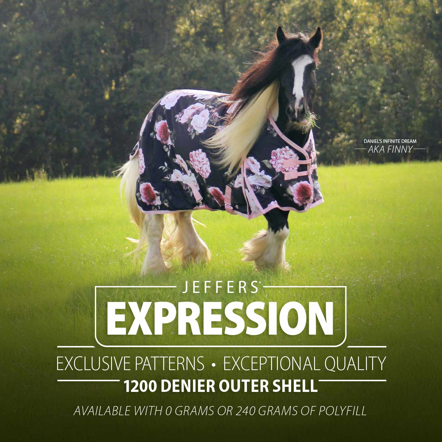 Expression 1200 Denier Standard Neck Horse Turnout Sheet, 0 Gram