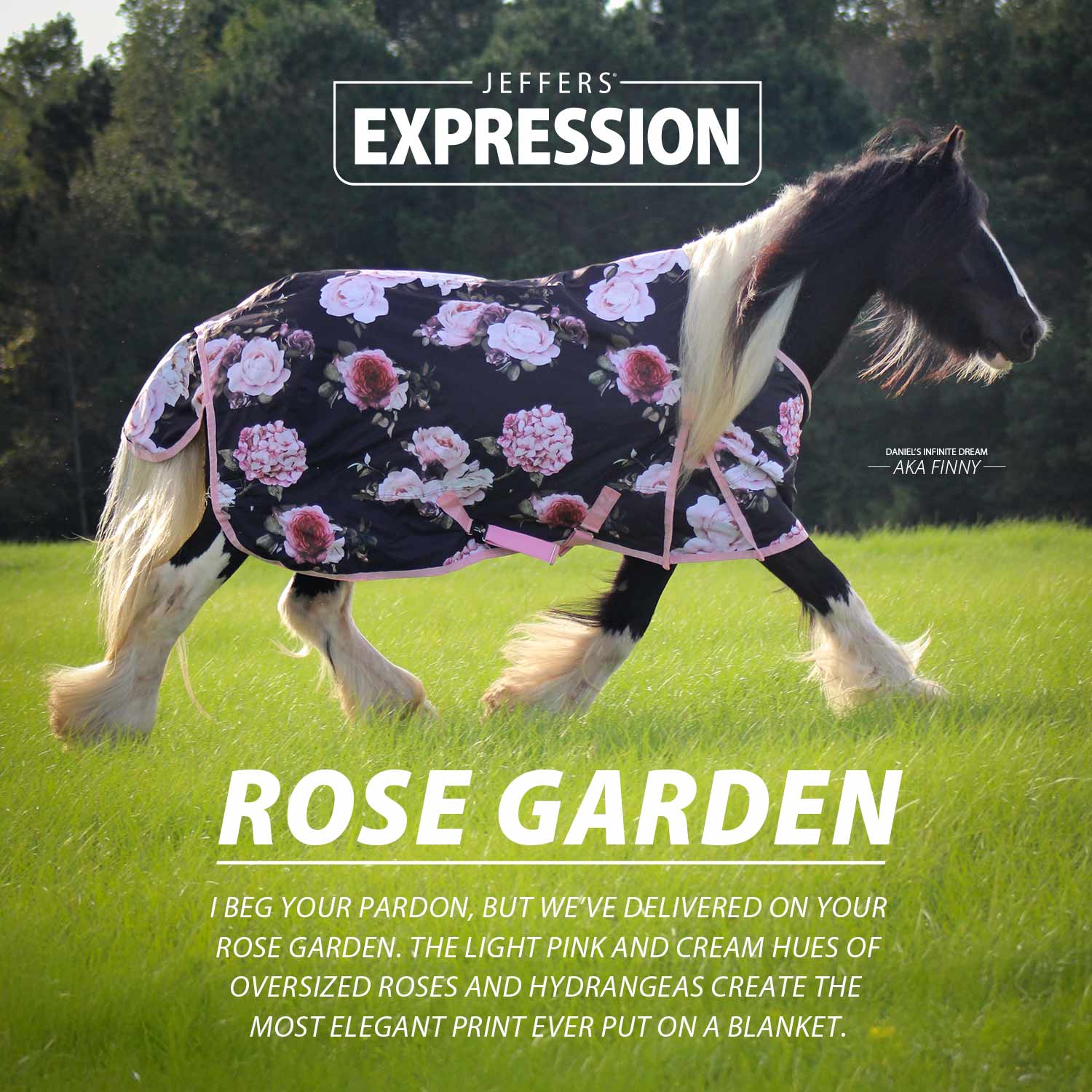 Expression 1200 Denier Standard Neck Horse Turnout Sheet, 0 Gram