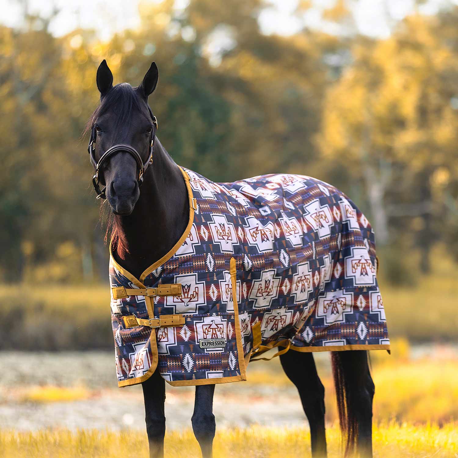 Expression 1200 Denier Standard Neck Horse Turnout Sheet, 0 Gram
