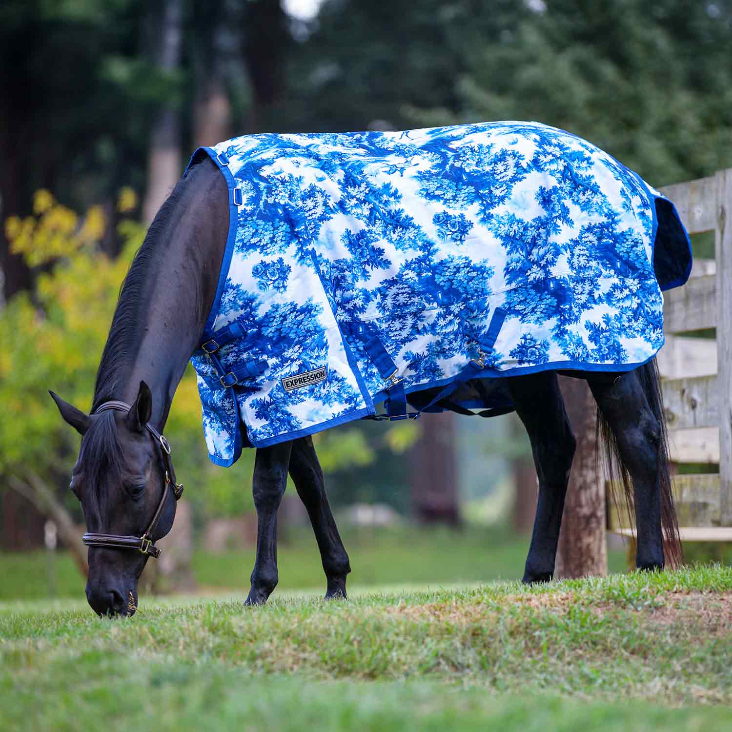 Expression 1200 Denier Standard Neck Horse Turnout Sheet, 0 Gram