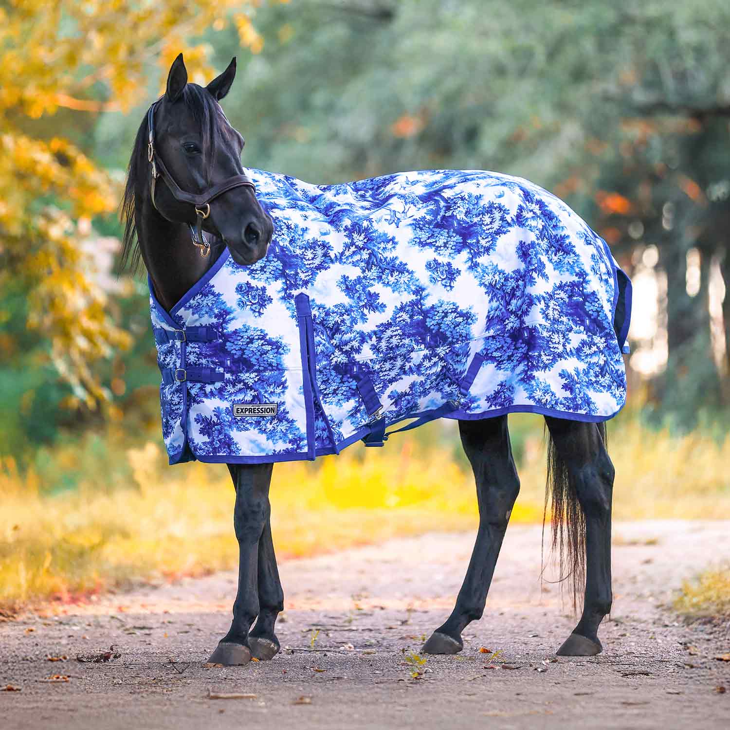 Expression 1200 Denier Standard Neck Horse Turnout Sheet, 0 Gram