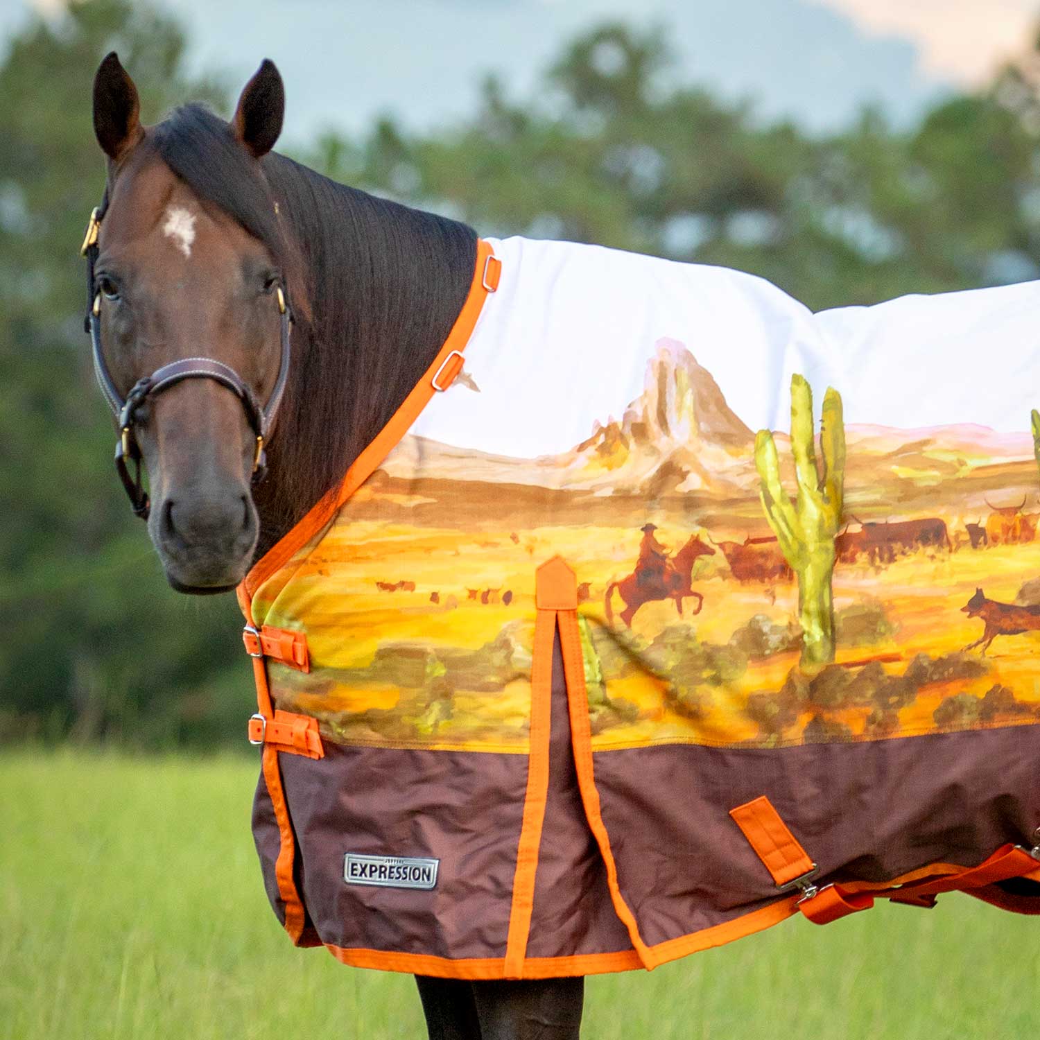 Expression 1200 Denier Standard Neck Horse Turnout Sheet, 0 Gram