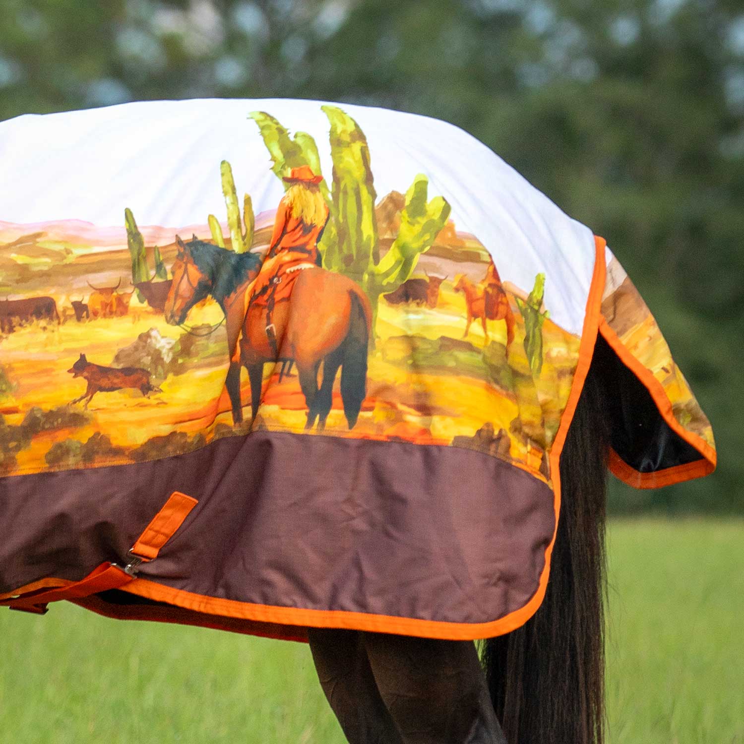Expression 1200 Denier Standard Neck Horse Turnout Sheet, 0 Gram